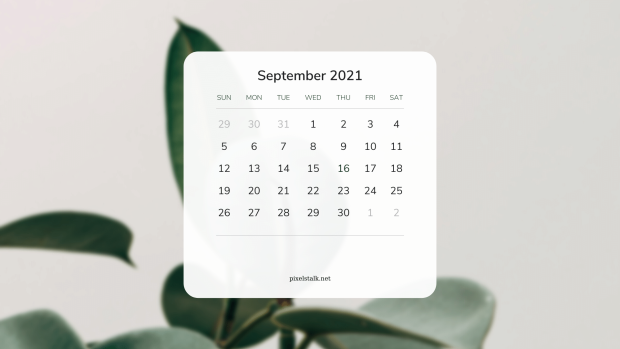 White Modern September 2021 Calendar Pixelstalk.