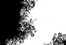 White Wallpaper High Quality Aesthetic.