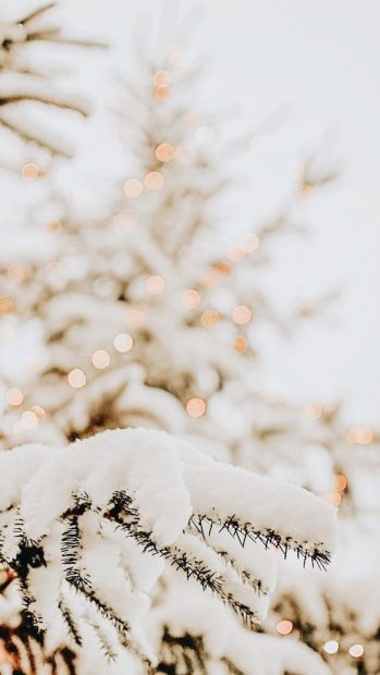 Winter Aesthetic Christmas Wallpaper HD Iphone.