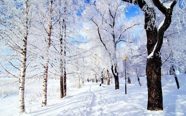 Winter Aesthetic Image Free Download.