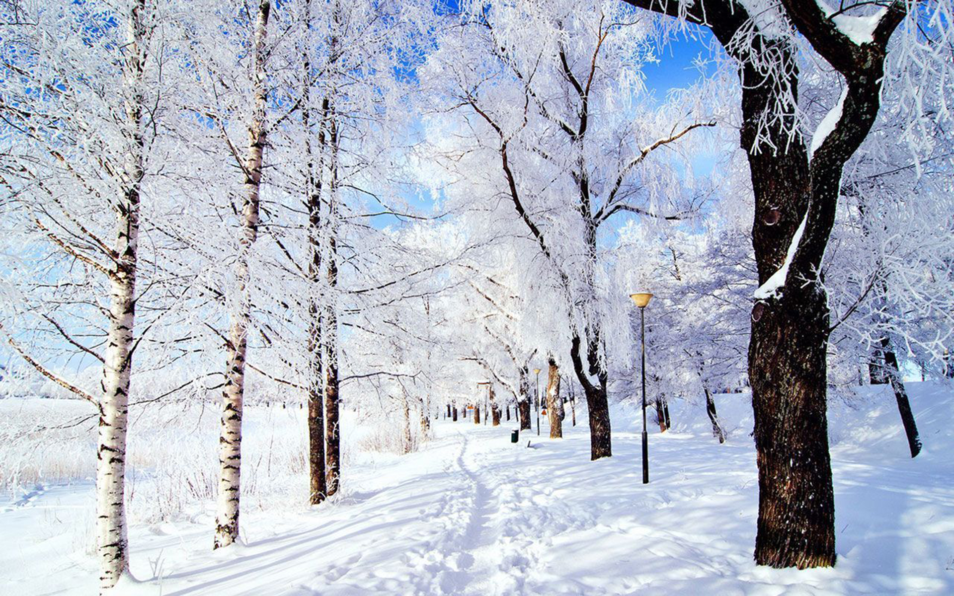 80 winter wallpapers and backgrounds to decorate your screen with