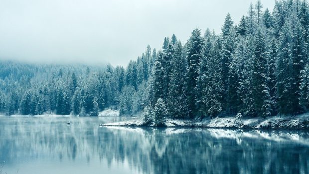 Winter Aesthetic Wide Screen Wallpaper HD.