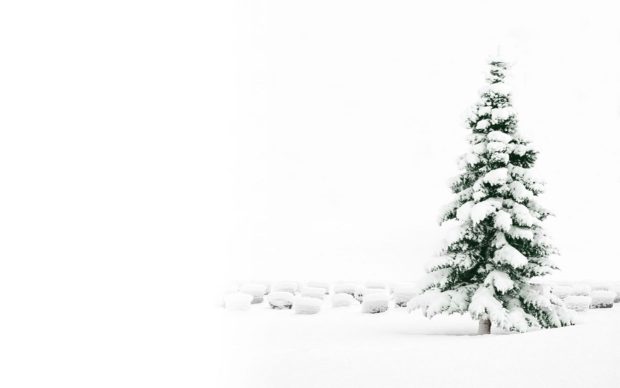 Winter Minimalism Christmas Wallpaper HD.
