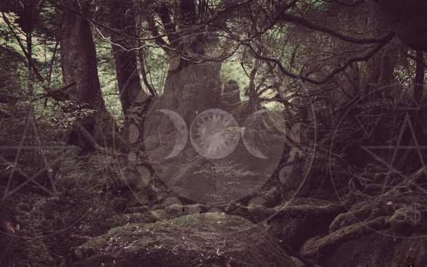 Witch Aesthetic Desktop Wallpaper HD.