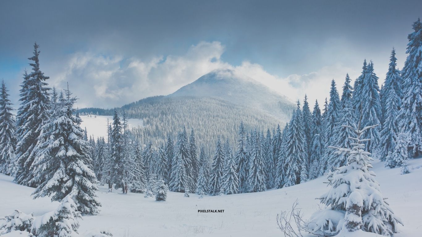 1366x768 Winter Wallpapers Pixelstalk Net