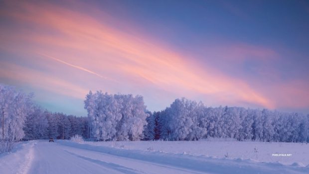 1366x768 Winter Wallpaper HD Free download.