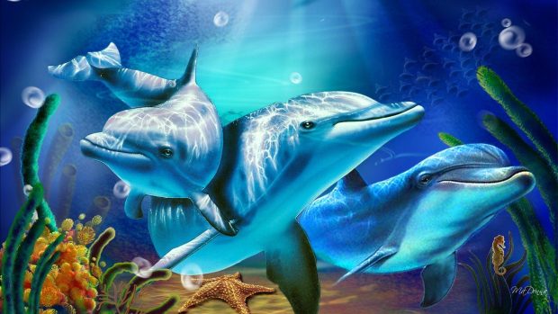 Dolphin Wallpapers HD Free Download