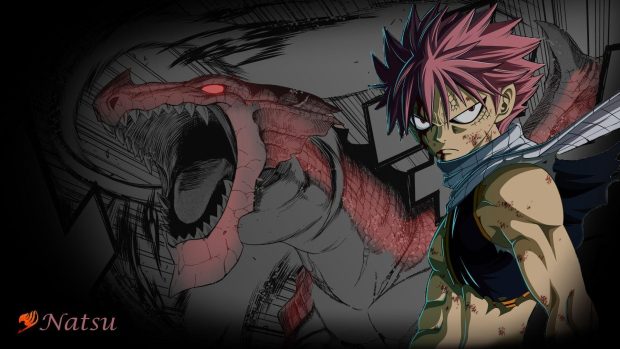 1920x1080 Fairy Tail Wallpaper HD.