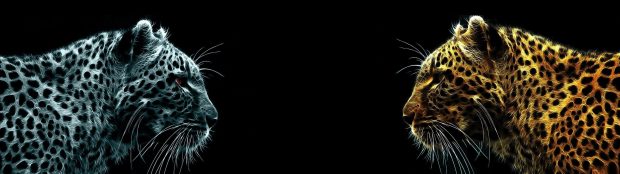 2 Screen Wallpaper Desktop.