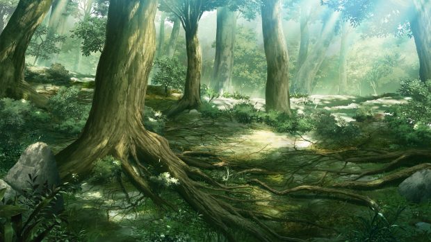 2560x1440 Anime Forest Backgrounds HD.