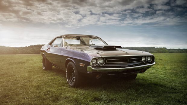 3840x2160 Dodge Challenger Wallpaper HD.