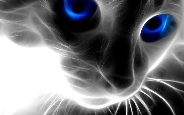 3D Backgrounds High Quality Cat.