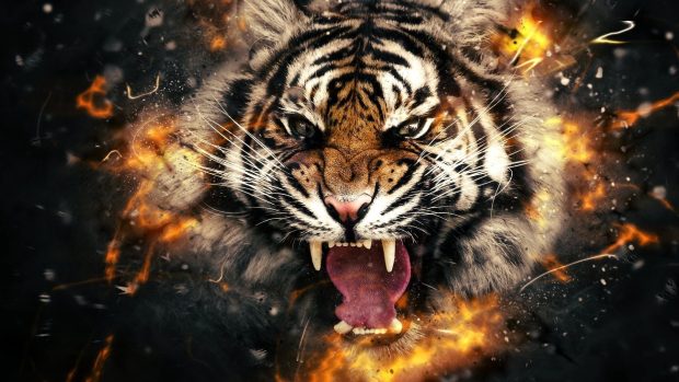 3D Backgrounds Tiger.