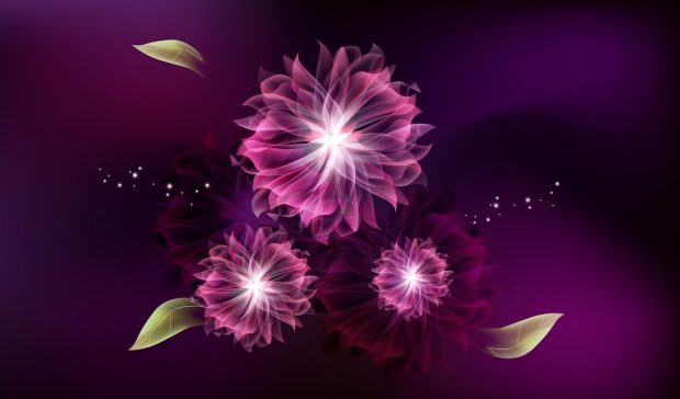 3D Flower Wide Screen Wallpaper.