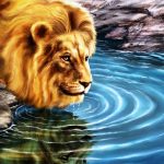 3D Live HD Wallpaper Free download Lion.