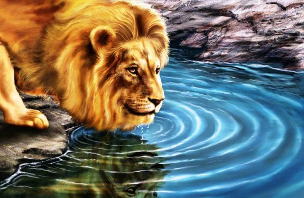 3D Live HD Wallpaper Free download Lion.