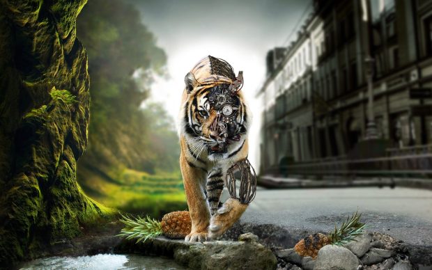 3D Tiger Wallpaper HD.