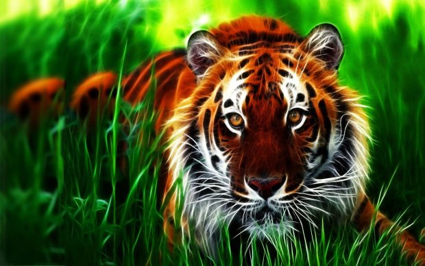 3D Wide Screen Backgrounds HD Tiger.