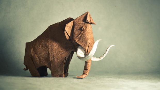 4K Elephant Desktop Wallpaper HD.