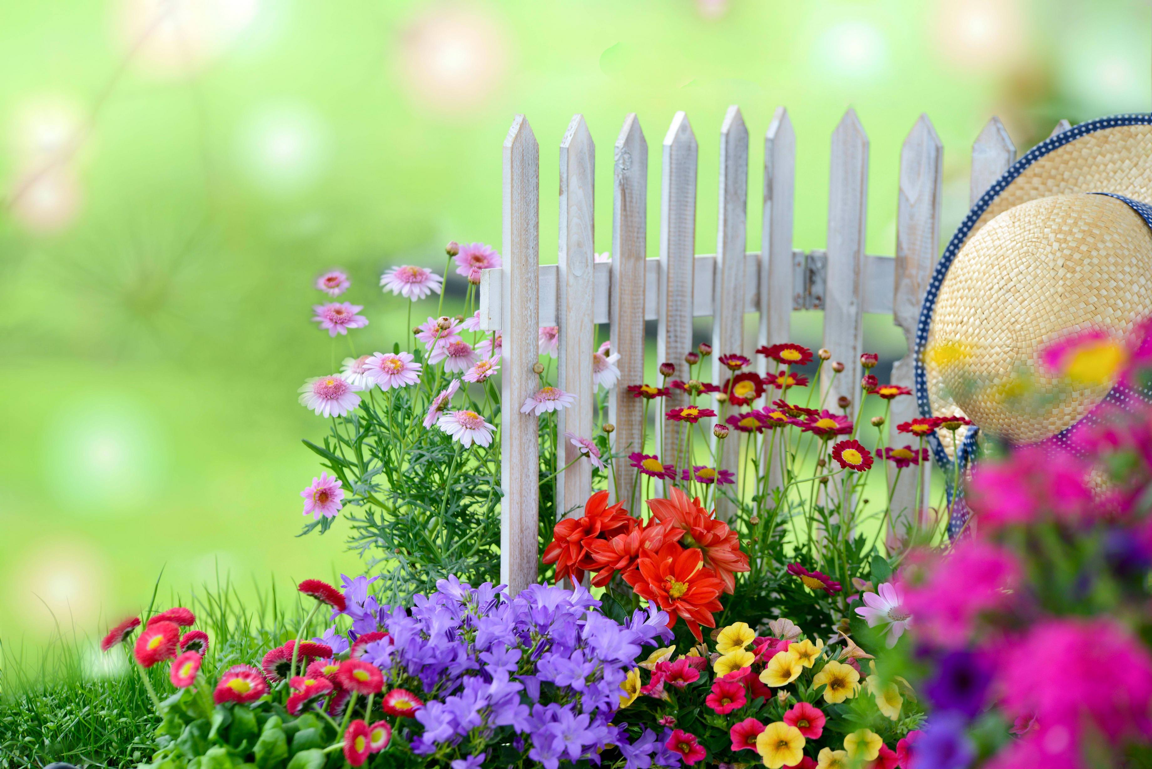 flower garden background wallpaper