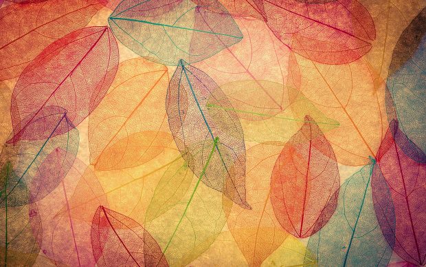 Abstract Fall Leaves Wallpaper HD.