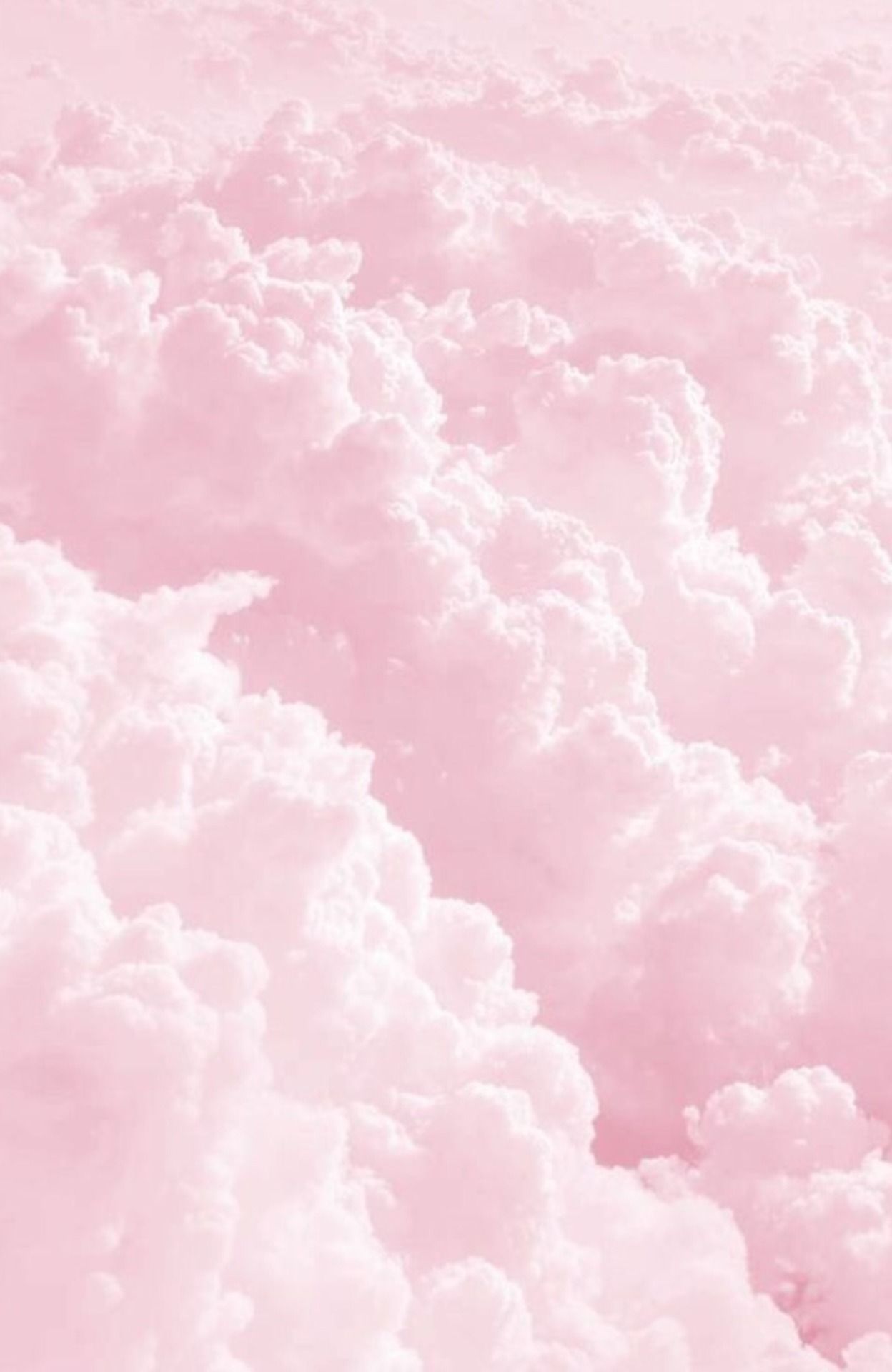 Plain baby pink wallpaper