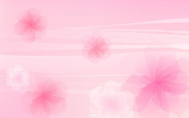 Aesthetic Baby Pink Computer Background HD.