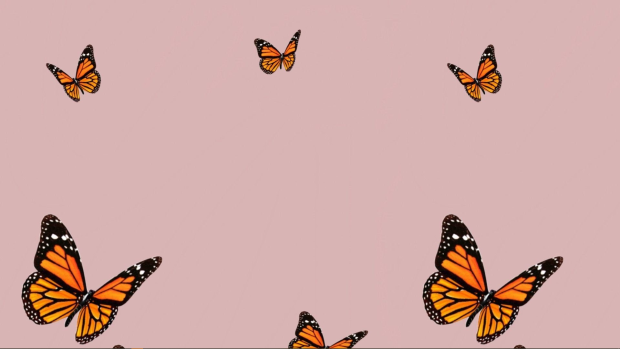 Aesthetic Background Butterfly.