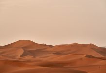 Aesthetic Beige Wallpaper HD Sands.