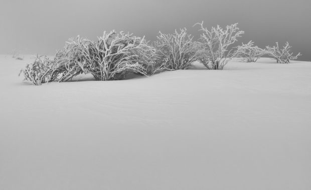 Aesthetic Black And White Wallpaper Winter.