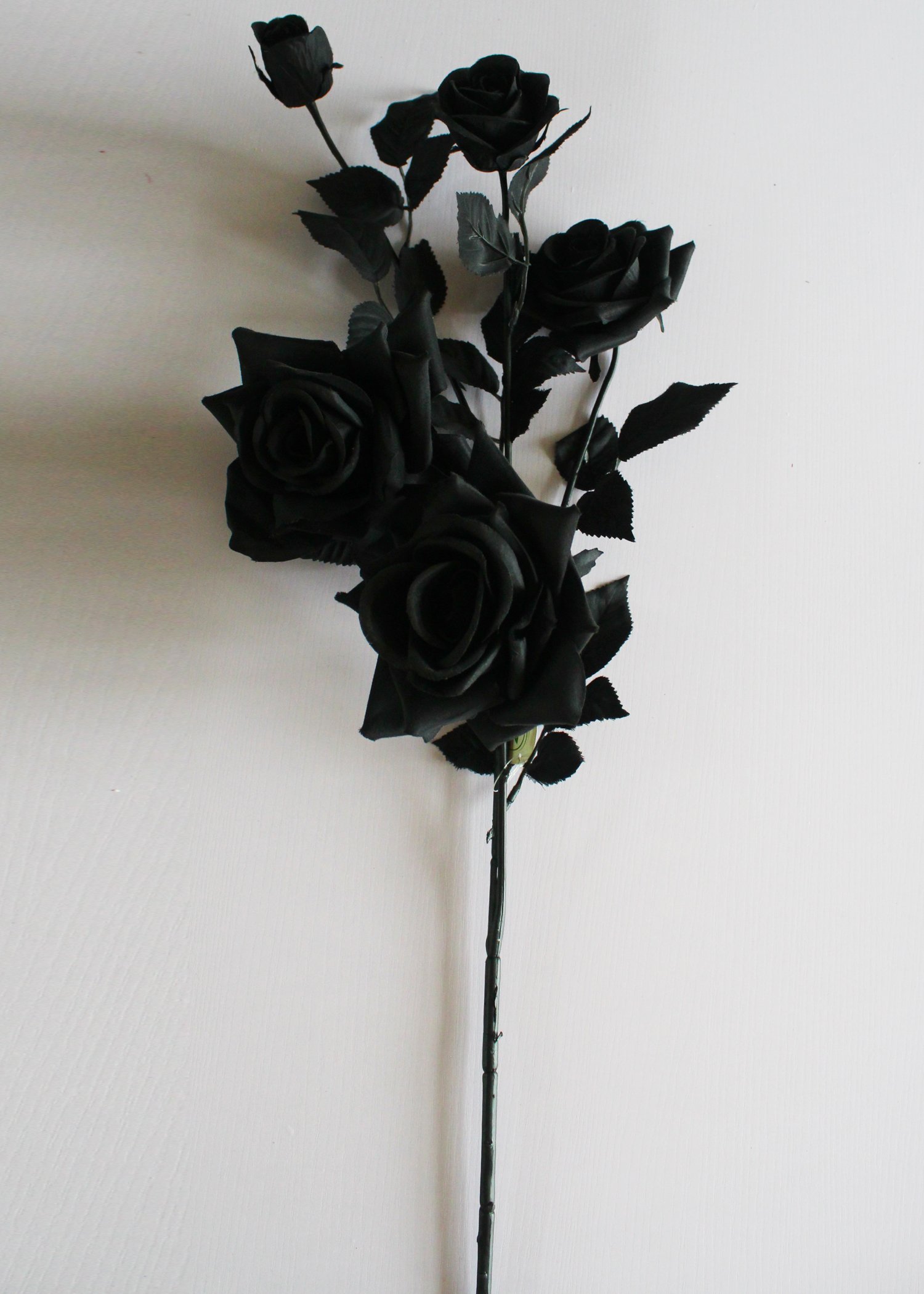 Black Roses HD Wallpapers Free Download 