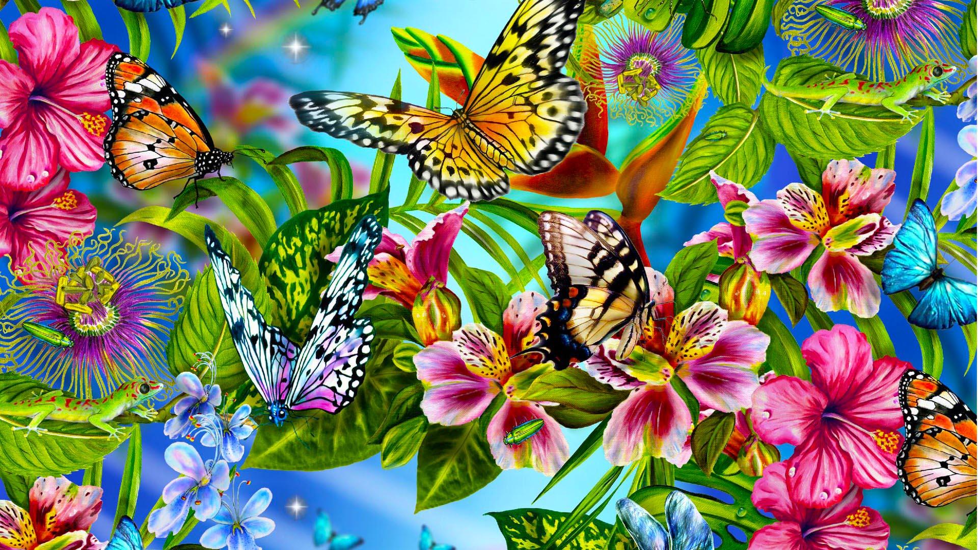 Beautiful Rainbow Butterfly wallpapers  Beautiful Rainbow Butterfly stock  photos