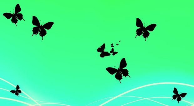 Aesthetic Butterfly Backgrounds Green.