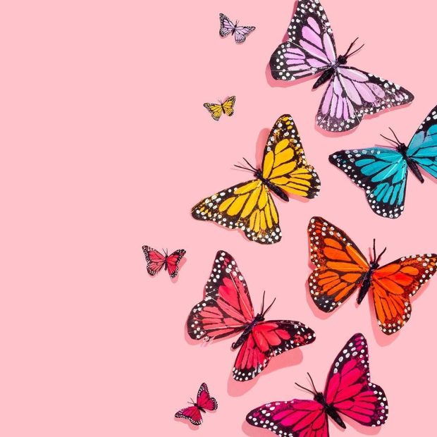 Aesthetic Butterfly Backgrounds HD Pink.