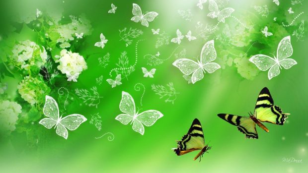 Aesthetic Butterfly Backgrounds Minimalist.