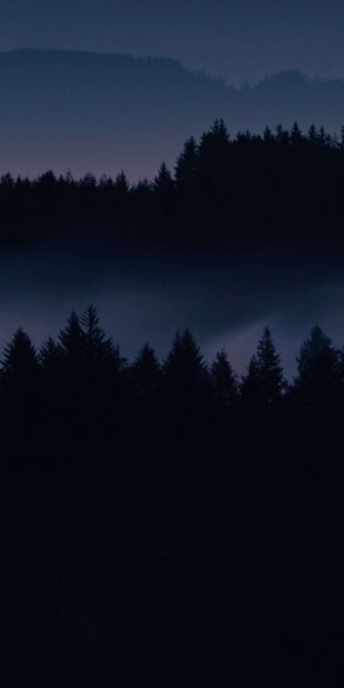 Aesthetic Dark Forest Background HD.