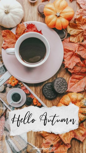 Aesthetic Fall HD Wallpaper Iphone Free download.