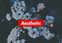 Aesthetic Floral Backgrounds Desktop.