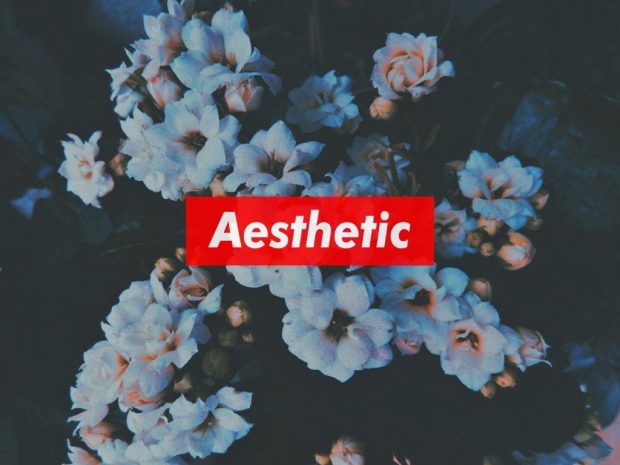 Aesthetic Floral Backgrounds Desktop.