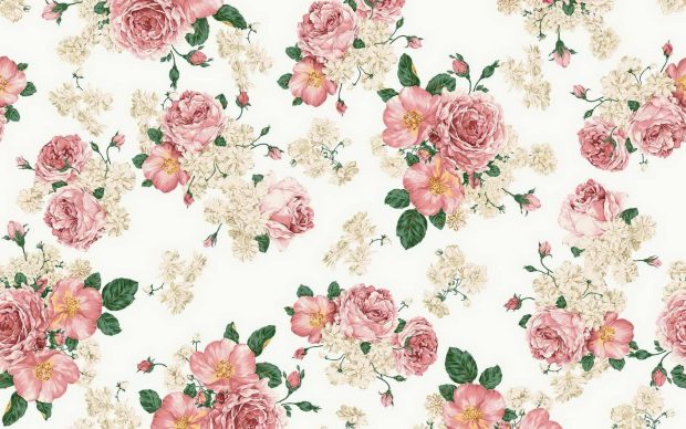 Aesthetic Floral Wide Screen Backgrounds.