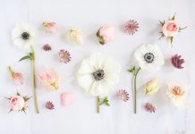 Aesthetic Flower Backgrounds All White.