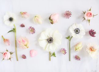 Aesthetic Flower Backgrounds All White.