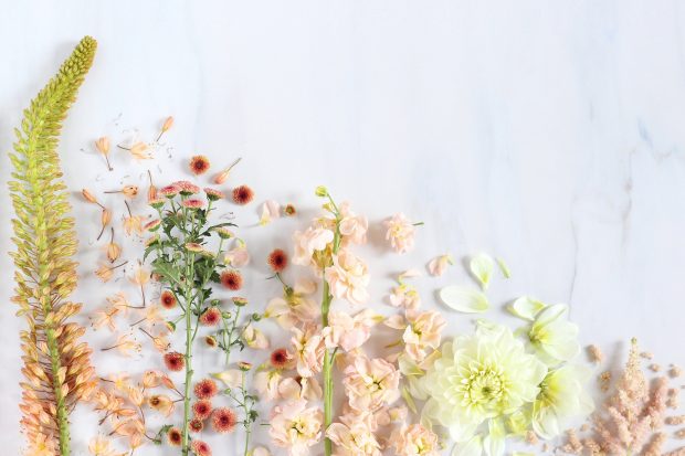 Aesthetic Flower Backgrounds Free Download.
