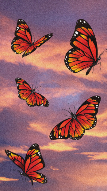 Aesthetic Iphone HD Wallpaper Butter Fly.