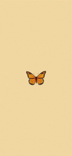 Aesthetic Iphone HD Wallpaper Butter Fly minimalist.