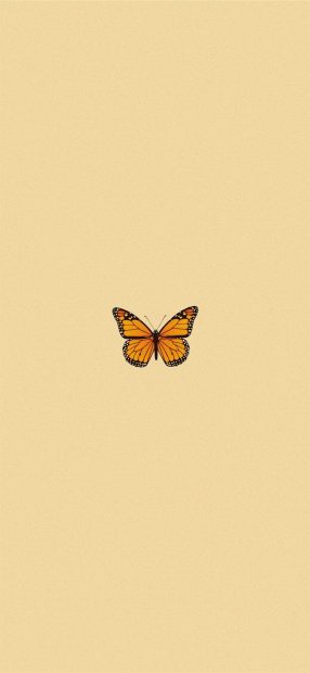 Aesthetic Iphone HD Wallpaper Butter Fly minimalist.