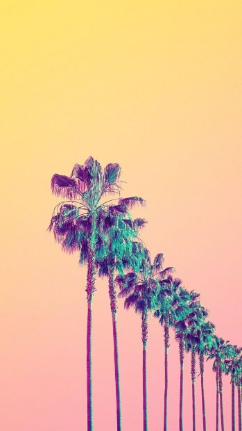 Aesthetic Iphone HD Wallpaper Sumer Vibe.