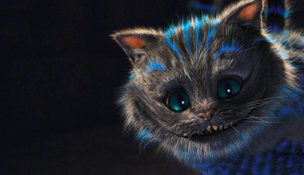 Aesthetic Laptop Backgrounds Magic Cat.