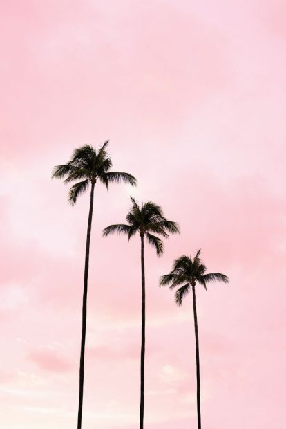 Aesthetic Light Pink Wallpaper for Iphone.