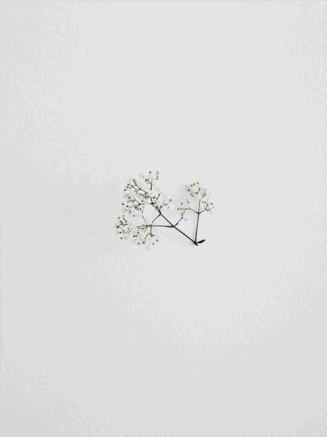 Aesthetic Minimalist Art Image.